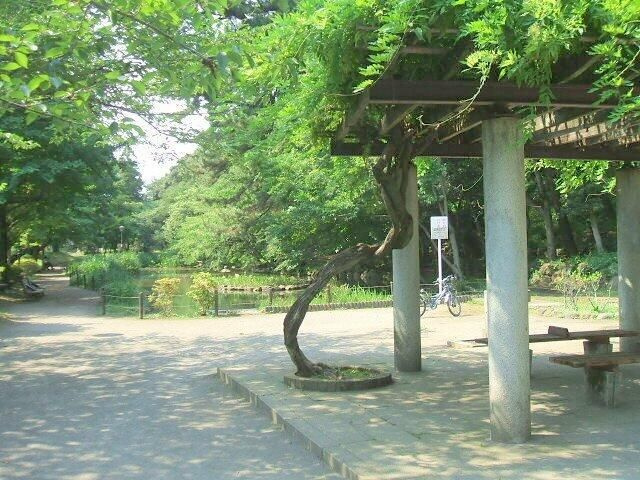 Ａｌｉｃｉａ　Ｇａｒｄｅｎのその他