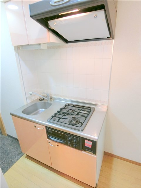 ルーブル多摩川弐番館のキッチン|2口ガスグリル付システムキッチン　