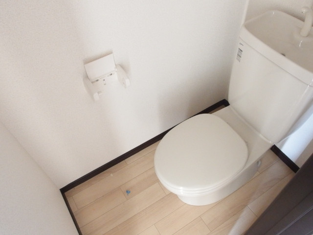 Ｍａｉｓｏｎ　ルイーズのトイレ