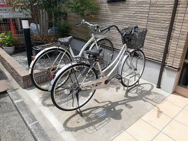 アムールのその他