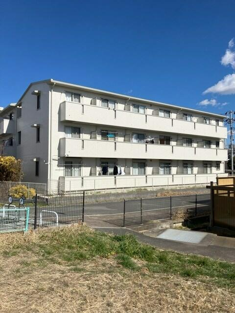 エンゼルのその他