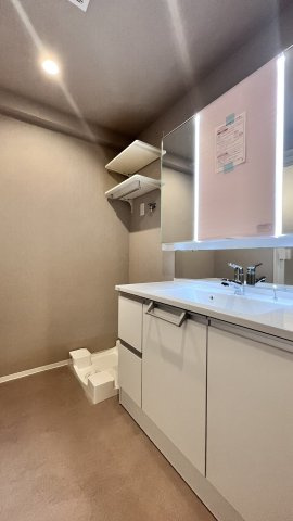 北大阪ハイツの独立洗面台