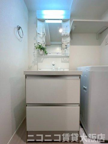 京都市伏見区深草加賀屋敷町のアパートの洗面所
