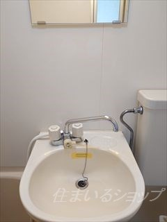 グリーンヴァリィ金光一番館の洗面所