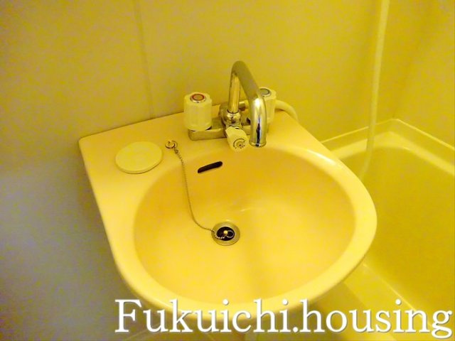 大木ロイヤルマンションの洗面所