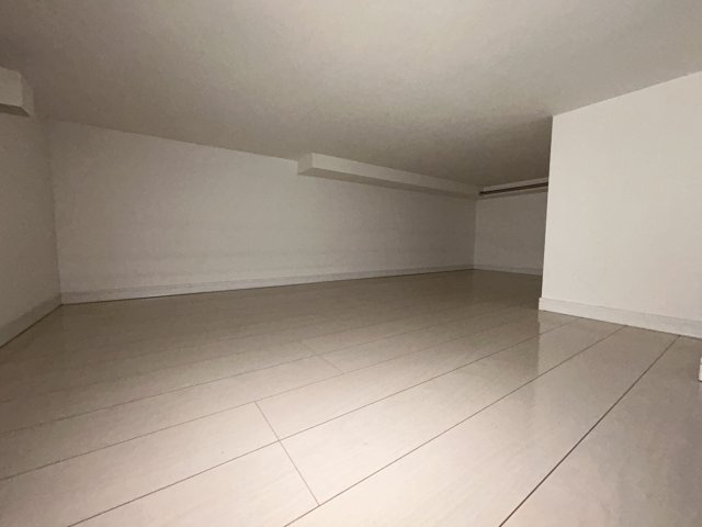 Soleaのその他