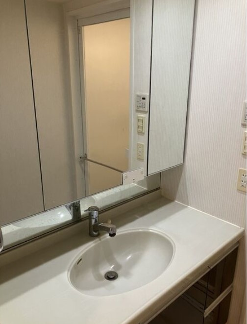 藤和シティホームズ大須南の洗面所
