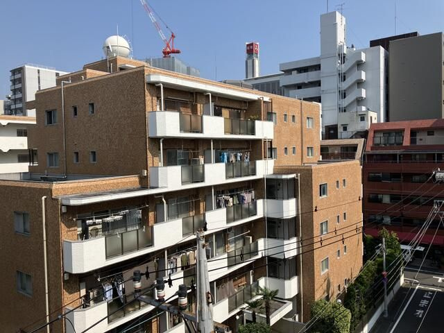 メゾンブランシュの展望