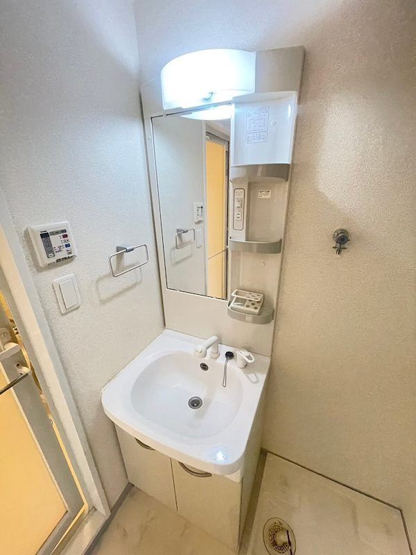 グランフォーレプライム大橋の洗面所