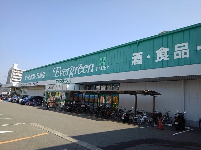 アナベルの周辺|エバグリーンプラス広瀬店様まで290m