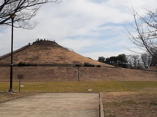 パレス　アルカディアの周辺|川和富士公園まで500m