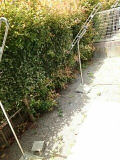 グランシエルＳ　Ⅱの庭