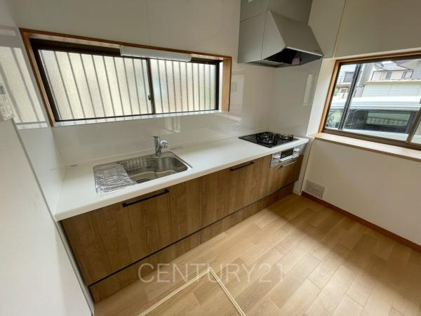 前橋市前箱田中古住宅のキッチン|シンクも大きく洗い物もしやすい浄水器付。シャワーヘッドは引き出し可能、シンクの隅々まで洗い流せます。