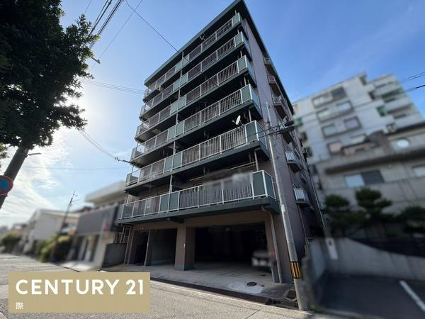 パークハイツ大新の外観