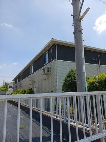 マロン・ドエルＡのその他