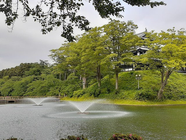 ハイツひばりの周辺|高田城址公園まで1544m