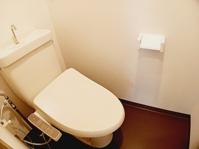 グリーンハイツ橘のトイレ