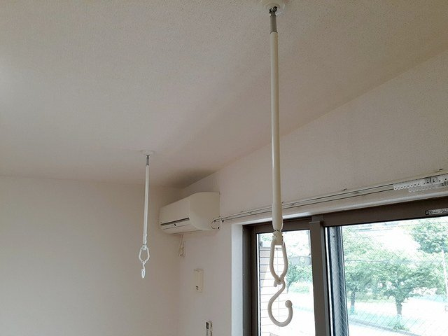 ティエラのその他