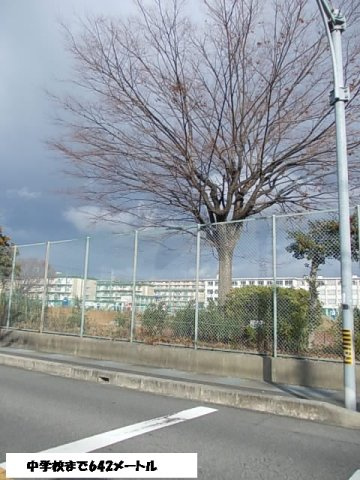 ティエラの周辺|中学校まで642m