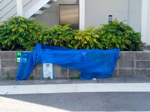 レオパレス大針のその他