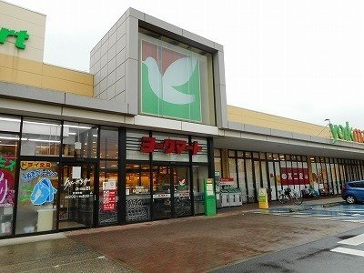 グリーンヒルⅡの周辺|ヨークマート青葉台店まで450m