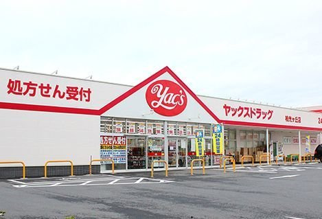 グランツの周辺|ヤックス柏光ヶ丘店まで750m