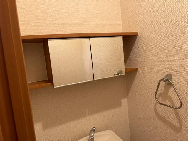 ダイヤモンドヒルズの収納|トイレ収納（イメージ）