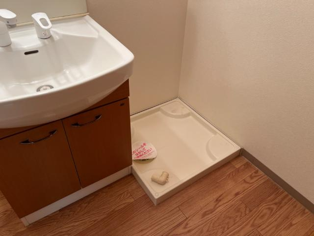 ダイヤモンドヒルズのその他|洗濯機置場（イメージ）