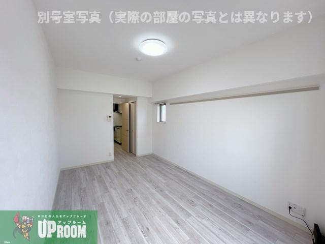 Y’s opus oneのその他