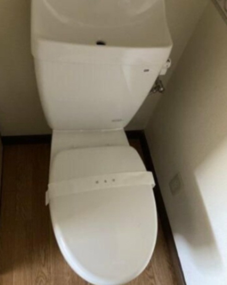 セジュール桜ヶ丘のトイレ