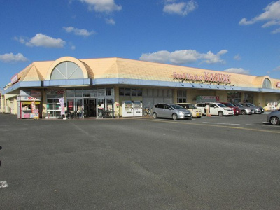 【周辺】 | カーサ・エスト | カスミ 上三川店まで750m