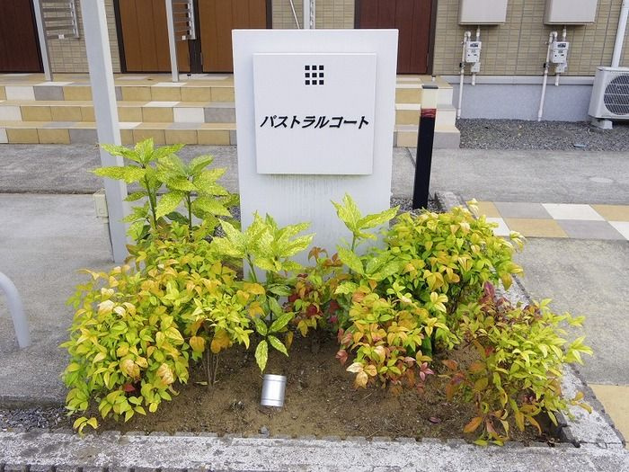 パストラルコート