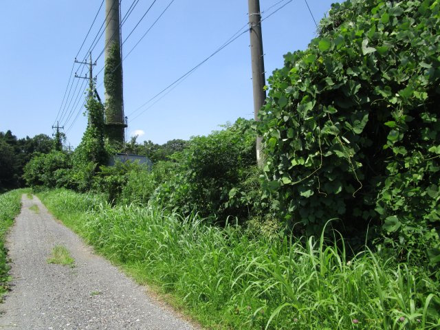 東松山市市ノ川326-1畑　627坪の前面道路含む現地写真