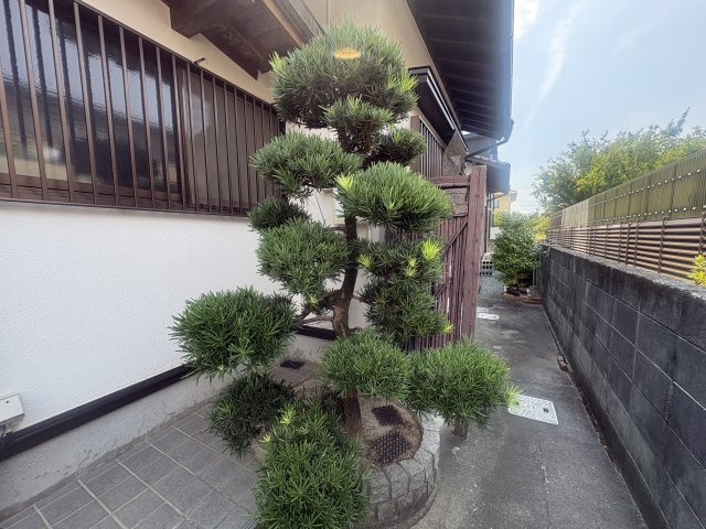 津福本町戸建のその他