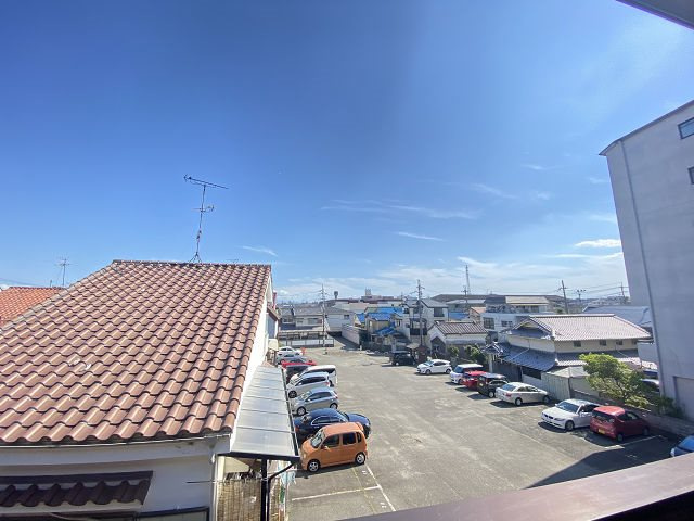 グレイス コスモスの展望