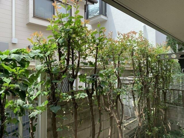 センチュリーハイムの展望