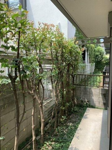 センチュリーハイムの展望