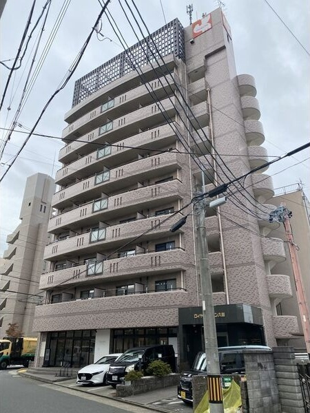 ロイヤルピジョン八田