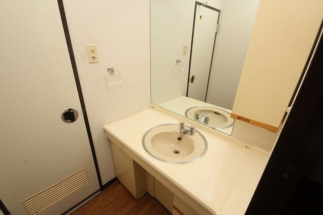 久喜市桜田３丁目の賃貸マンションの洗面所