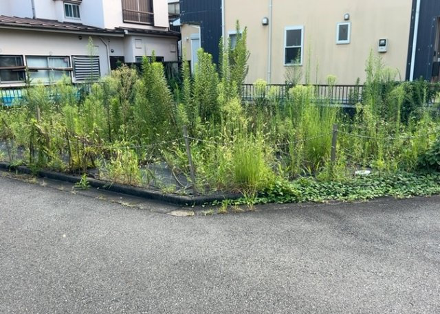 【外観】 | 土地の形が極端に長細かったり、狭小地、あるいは道路との高低差がある傾斜地だった場合、後々売ろうとしても買い手がつかない場合もあります。後々、売却することになった時に価値の下がらない土地を選びましょう。