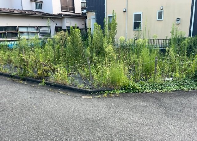 【外観】 | 家を建てる場合、方位は要チェックです。現実的に日当たりのよい家ならばリビングは南側、建築基準法でも北側に当たる家への配慮は求められています。土地を見学に行く際は、方位磁針を持って行くようにしましょう。