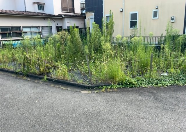 【外観】 | 土地を買う際、住む地域の自治体や福祉の補助制度にも注目してみましょう。子供や老人の医療補助やゴミ出しのルールなど、自治体によってルールに大きな違いがあるため、暮らしやすい土地で判断するとよいでしょう。