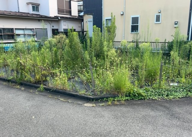 【外観】 | 土地探しをしていると都市計画区域という言葉を目にすると思います。法律によって、都道府県知事や国土交通大臣が指定するエリアのことを指しており、都市計画区域は市街化区域と市街化調整区域に分けられています。
