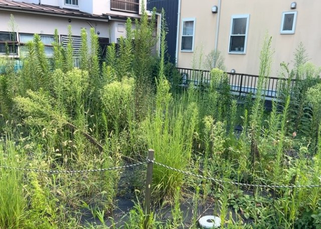 【外観】 | 販売されている全ての土地が、宅地用の土地であるとは限りません。都市計画法に基づき、基本的に住宅を建てることができるのは土地計画区であることに加え、市街化区域として定められている地域のみとなっています。