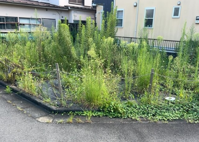 【前面道路含む現地写真】 | ハザードマップは自然災害による被害を予測し、その被害範囲を地図上で表したものです。近年特に災害が多くなっていますので、事前に調査すると安心できます。ハザードマップは国交省のホームページをご覧ください。