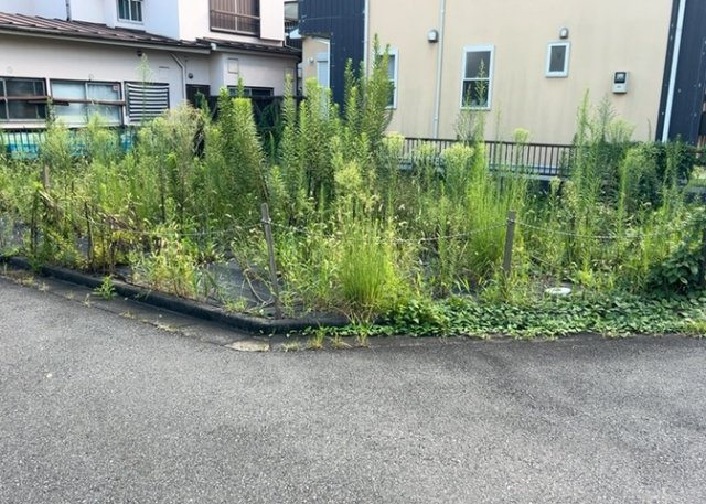 【外観】 | 現地に行くなら、物件の周囲の地形がどうなっているかを見ることも大切です。周辺より低くなっている土地では、大雨などで水が集まりやすいため、地盤が弱くなっているということも考えられるため、注意が必要です。