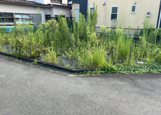 【外観】 | 隣家の土地はどうなっているのか、生活利便施設が近くにあるのか、学校まで近いかなど、お客様のライフスタイルにあわせたイメージが重要です。また、近くにあると困る施設が近くにないかも確認するといいでしょう。