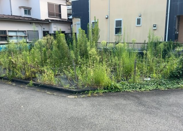 【外観】 | 家を建てる前提で土地を探している場合、地盤の丈夫さは譲れない条件の一つです。地盤が脆弱だと追加工事が必要となります。また、過去に地盤沈下や液状化現象を起こした土地は、できるだけ避けた方がいいでしょう。