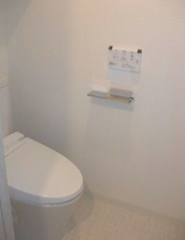 DIPS西日暮里のトイレ|落ち着いた色調のトイレです