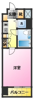 新丸子ダイカンプラザシティの間取り|独立洗面台、バストイレ別♪